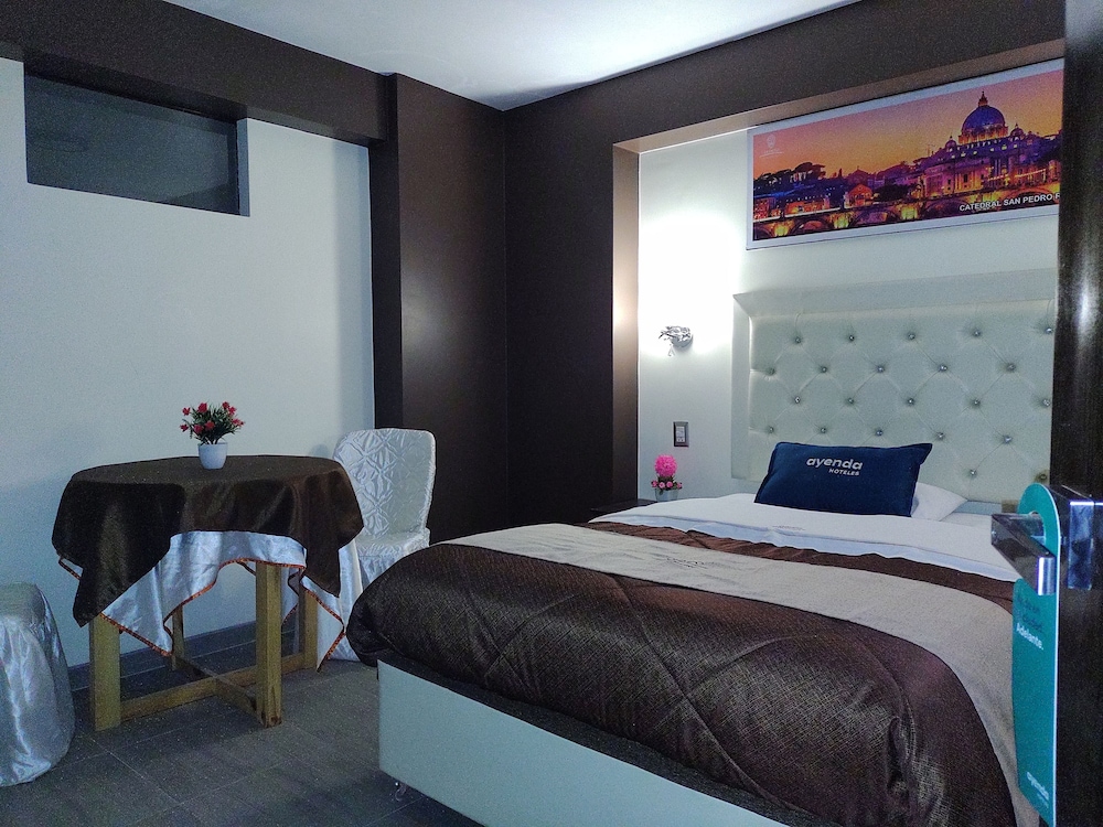 Comfort Single Room