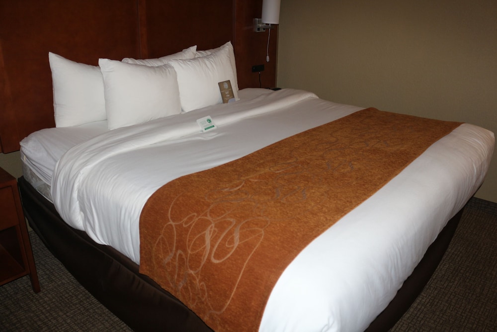 Suite, 1 King Bed with Sofa bed, Non Smoking - Photo 1