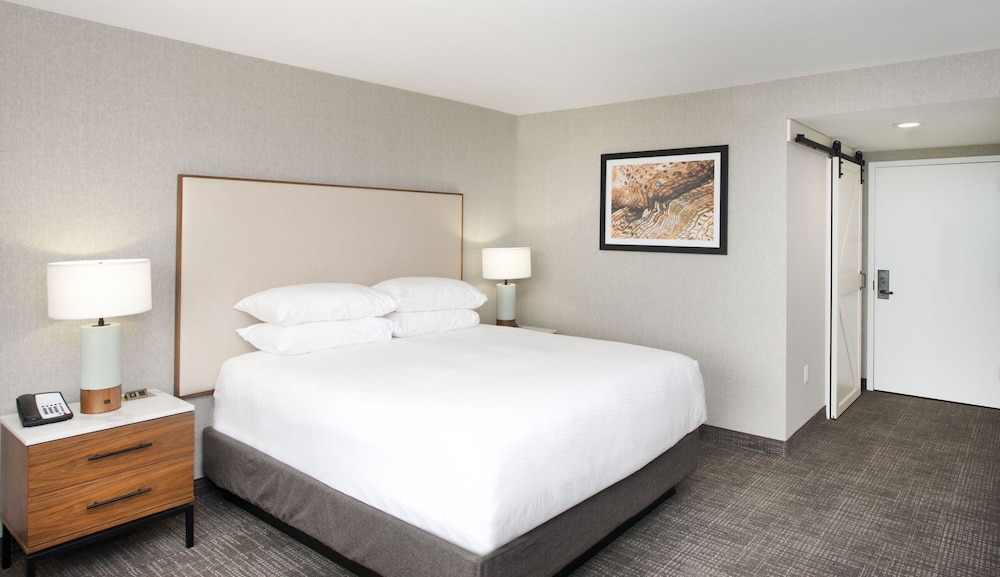 Deluxe Room, 1 King Bed, Lake View