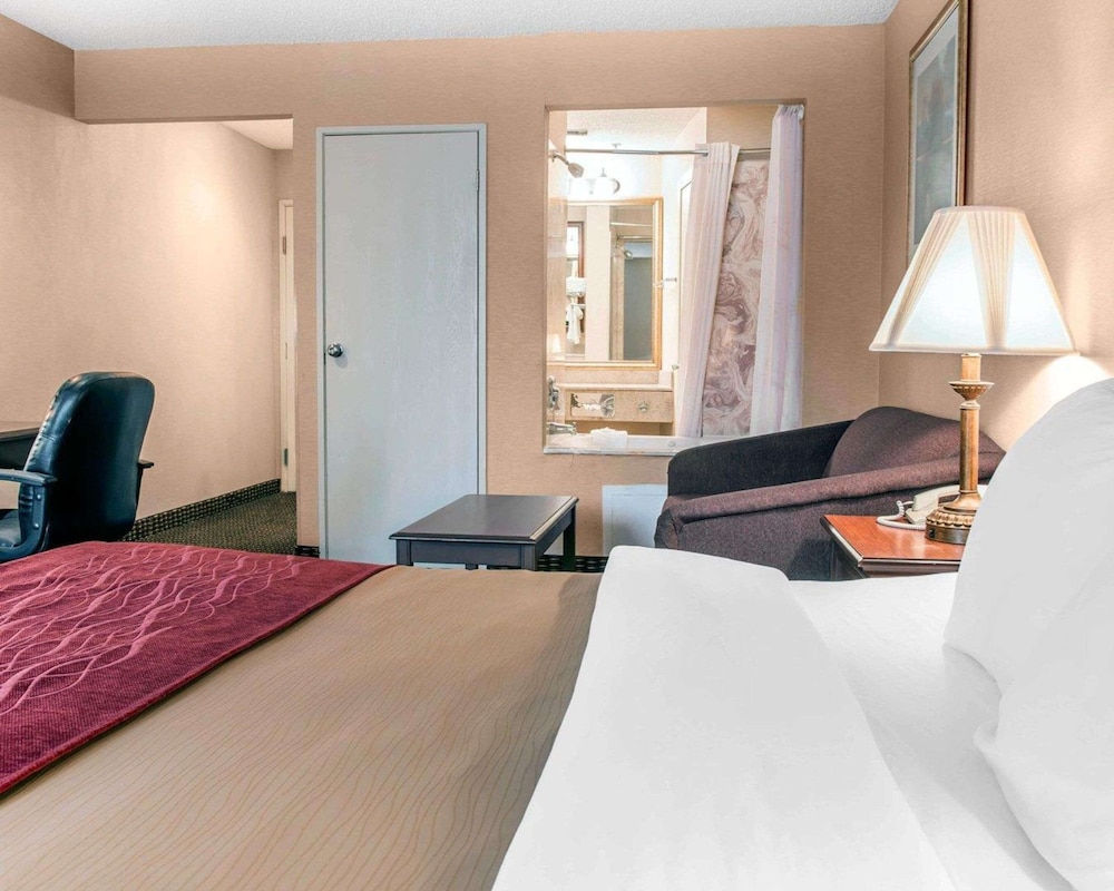 Standard Room, 1 King Bed With Sofa Bed, Non Smoking photo 2