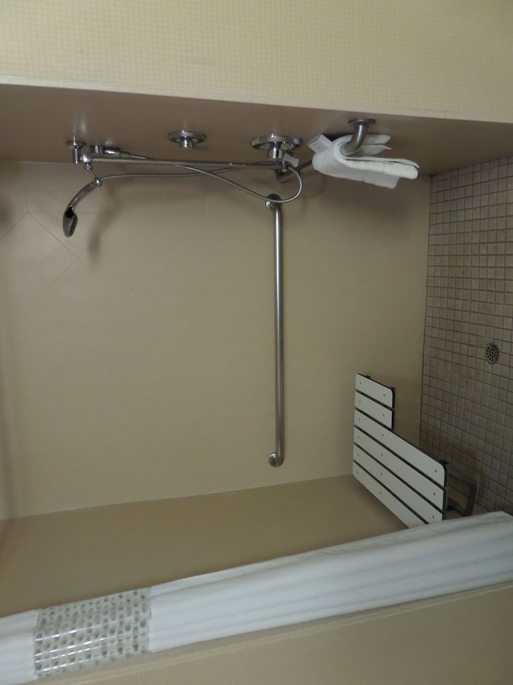 Studio, 1 King Bed, Accessible (Roll-In Shower) - Photo 6