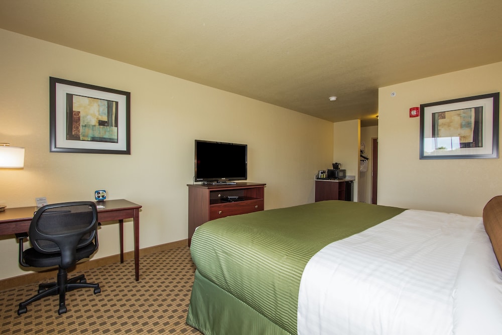 Room, 1 King Bed, Non Smoking photo 3