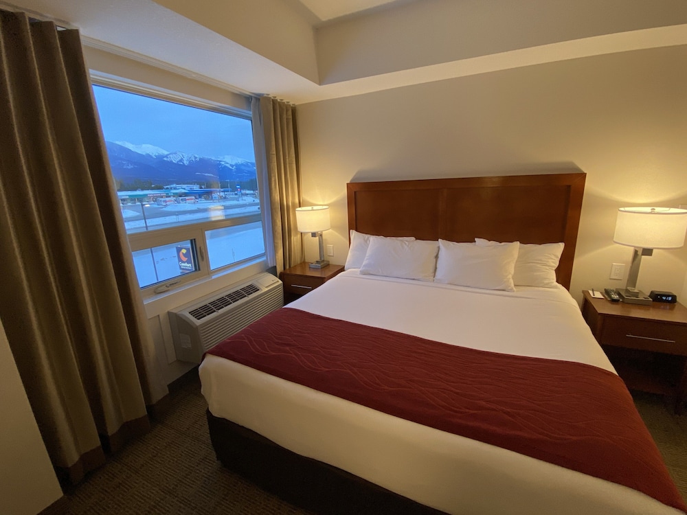 Suite, 1 King Bed with Sofa bed, Non Smoking (Efficiency) - Photo 4