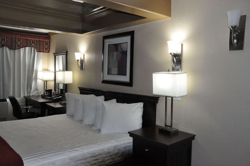 Studio Suite, 1 King Bed, Non Smoking - Photo 3