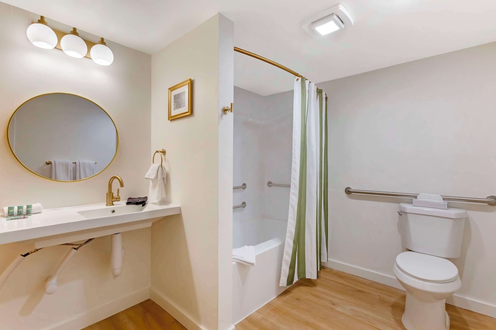 Standard Room, 1 King Bed, Accessible, Refrigerator & Microwave (Pet Friendly) photo 3