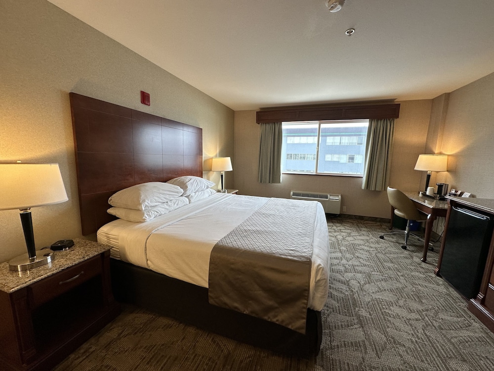 Traditional Room, 1 King Bed, Ground Floor (Pet Friendly) photo 3
