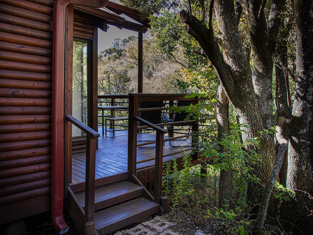 Luxury Cabin (1) photo 3