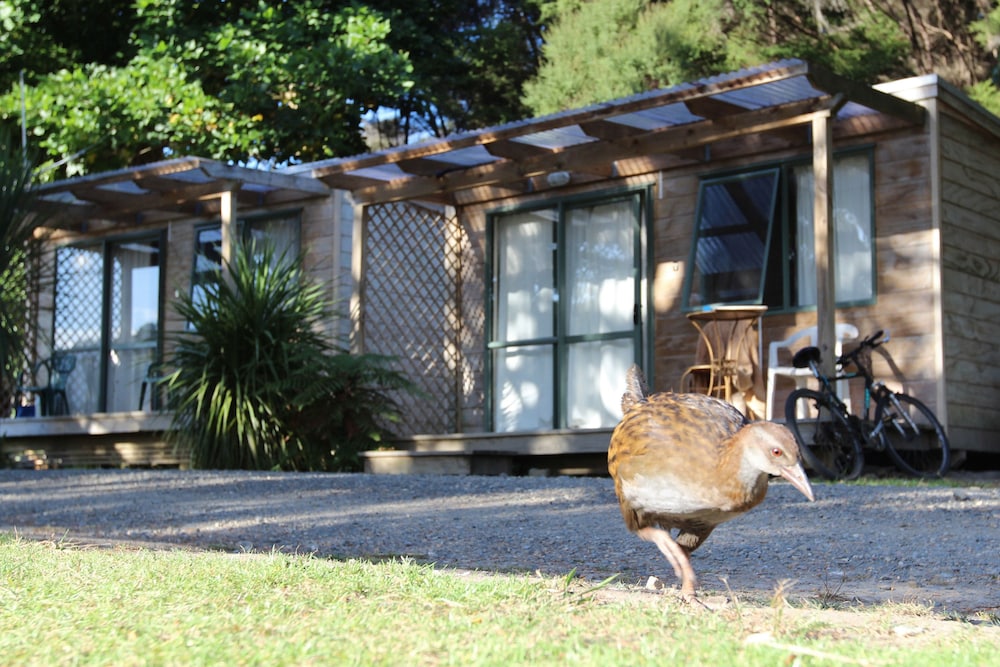Kiwi Cabin photo 2