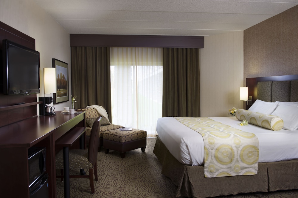 Deluxe Room, 1 King Bed photo 1