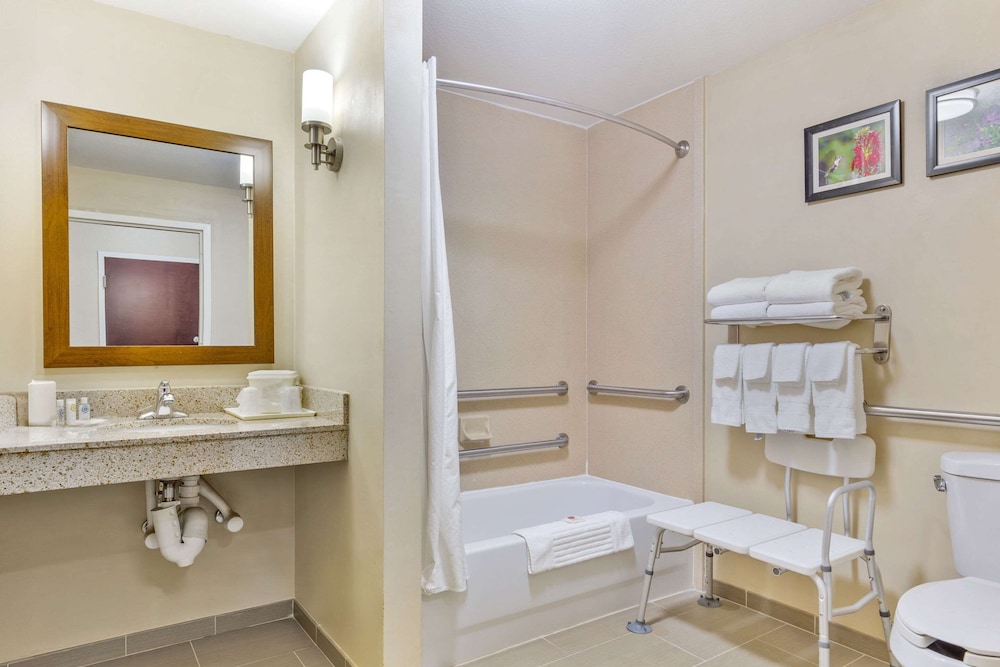Suite, 1 King Bed with Sofa bed, Accessible, Non Smoking (2 Person Sofa Bed) - Photo 2