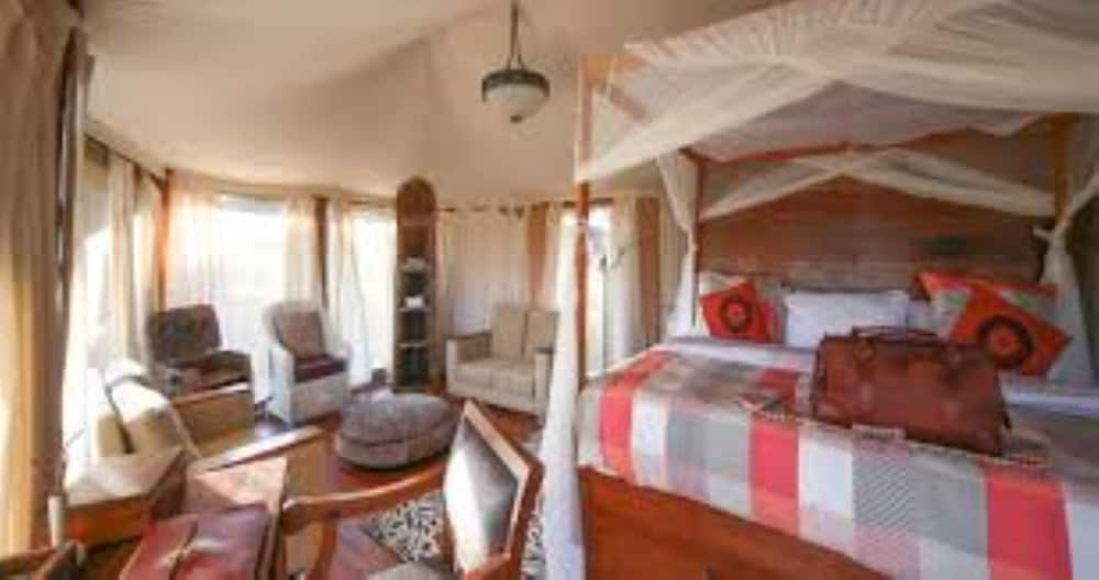 Luxury Tent, 1 Double Bed, Non Smoking photo 1