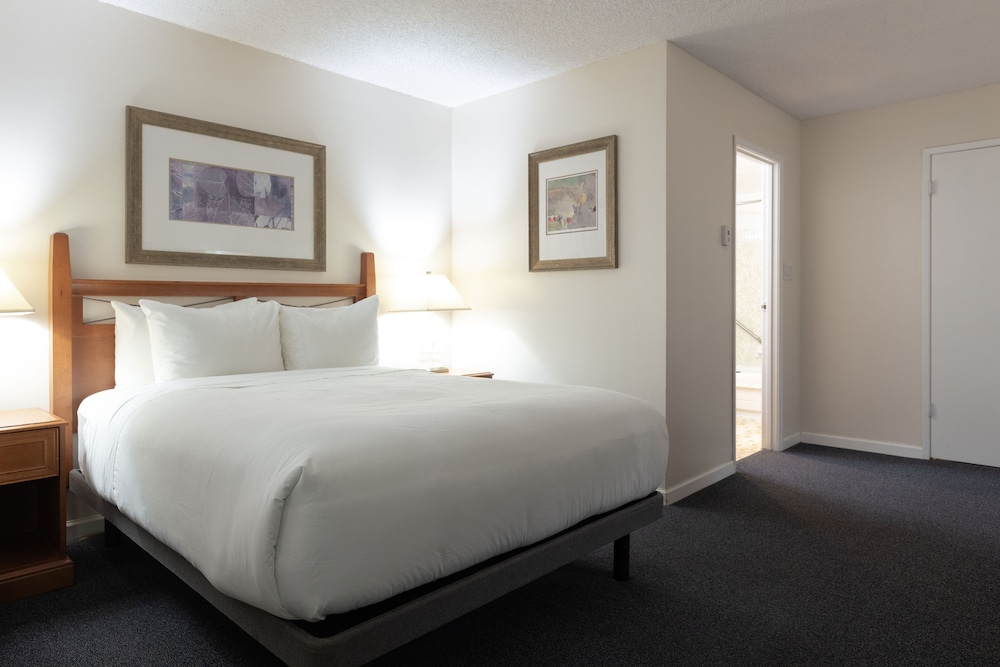 Premium Room, 1 Queen Bed