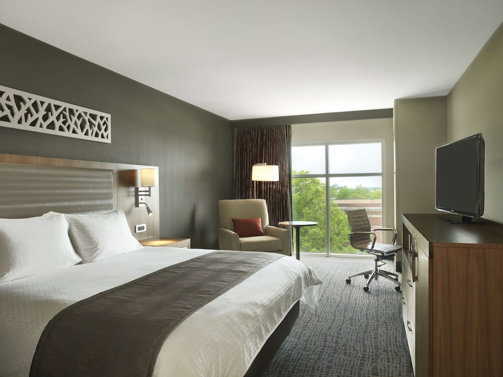 Room, 1 King Bed, Accessible - Photo 3