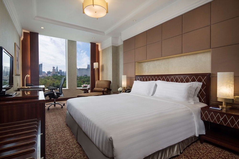 Deluxe Suite (Business Class)