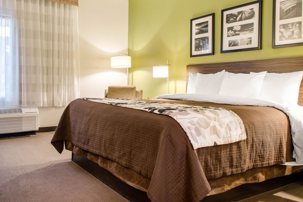 Room, 1 Queen Bed, Accessible, Non Smoking photo 2