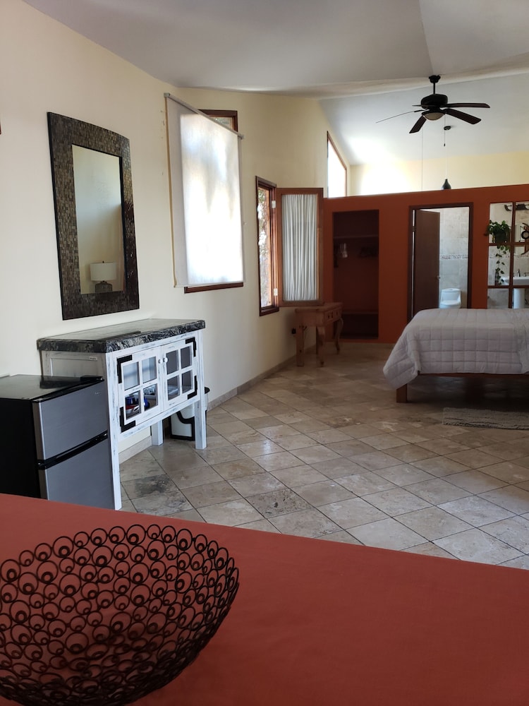 Business Room, 1 King Bed, Non Smoking, Courtyard View photo 1