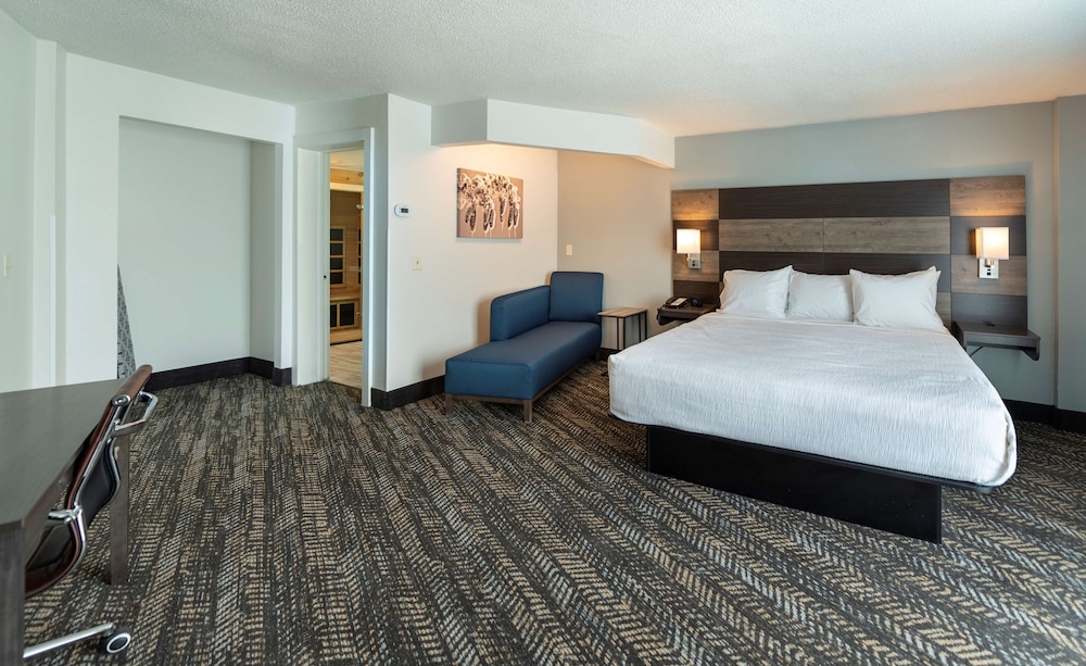 Suite, 1 King Bed, Non Smoking, Kitchenette (Walk-in Shower;with Sofabed)
