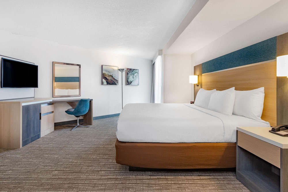 Premium Room, 1 King Bed (Wellness Room, Bath/Shower Combo) photo 3