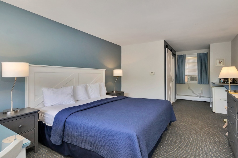 Basic Room, 1 King Bed photo 2
