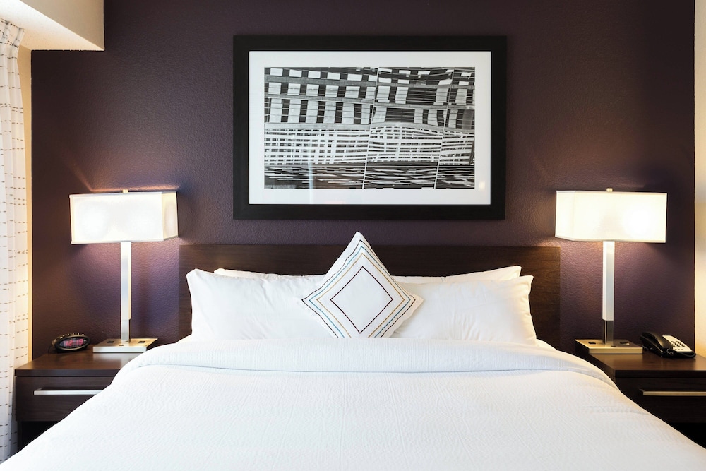 Suite, 1 Bedroom - Photo 4