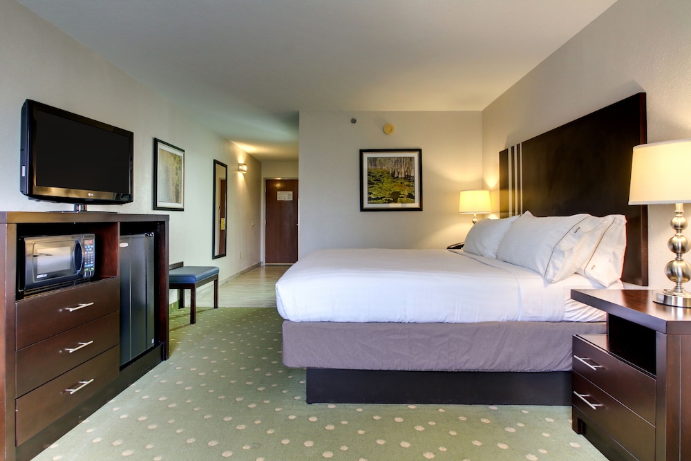 Standard Room, 1 King Bed, Accessible (Mobility, Roll-In Shower) - Photo 3