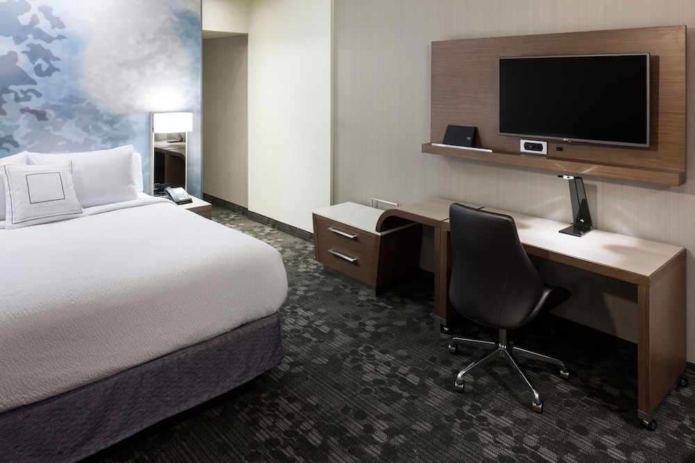 Room, 1 King Bed with Sofa bed (Hearing Accessible) photo 1