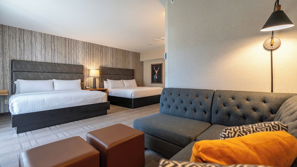Standard Room, Multiple Beds - Photo 1