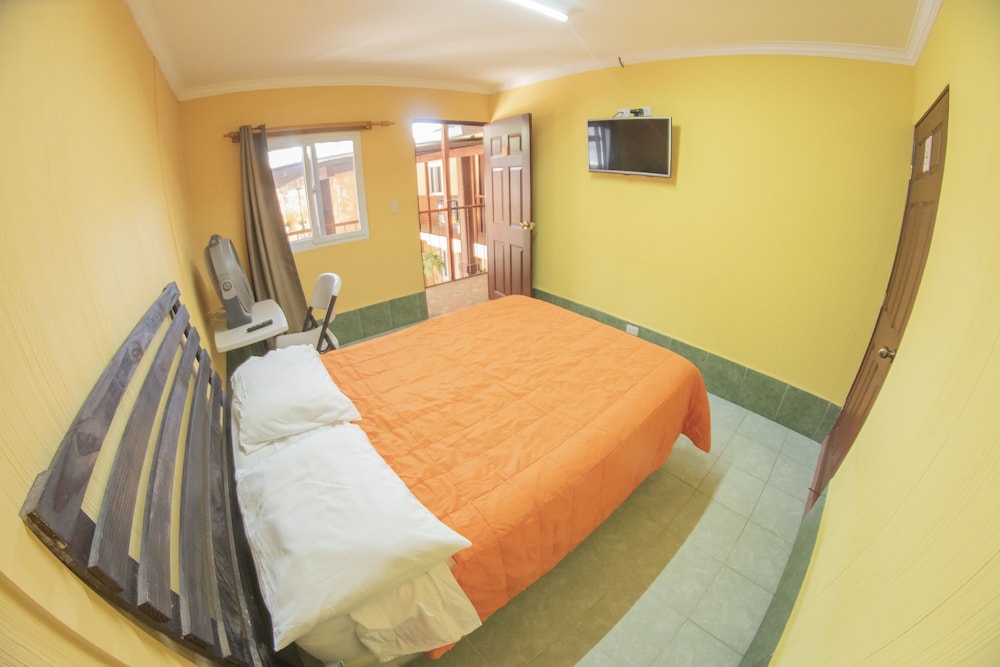 Basic Single Room photo 2
