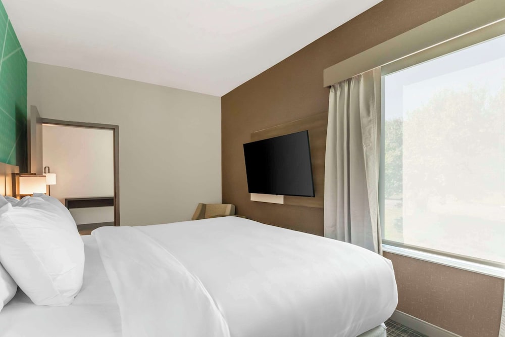 Suite (One Bed King) photo 3
