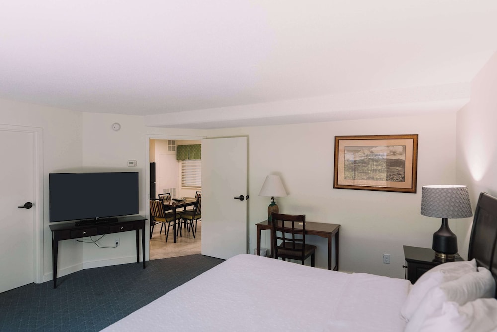 Suite, 1 King Bed - Photo 1