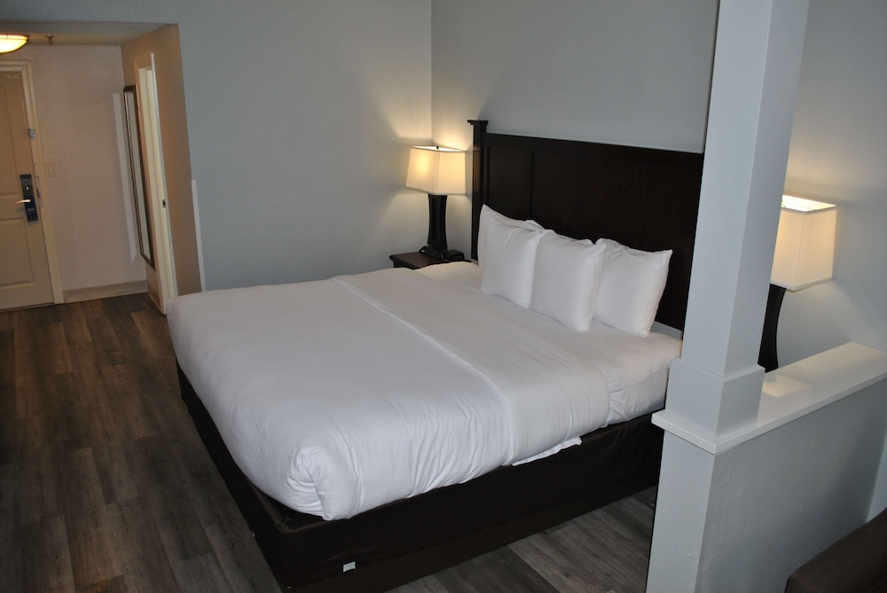 Suite, 1 King Bed, Non Smoking, Refrigerator & Microwave (with Sofabed) - Photo 6