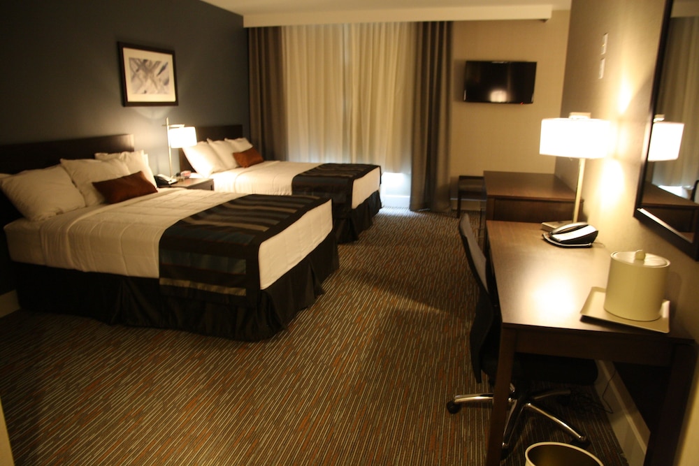 Suite, 2 Queen Beds (Suite, 2 Queen Beds, Sofa Bed)