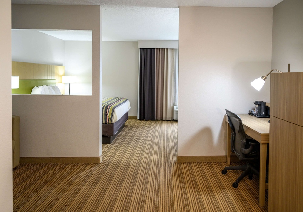 Studio Suite, 1 King Bed with Sofa bed, Non Smoking