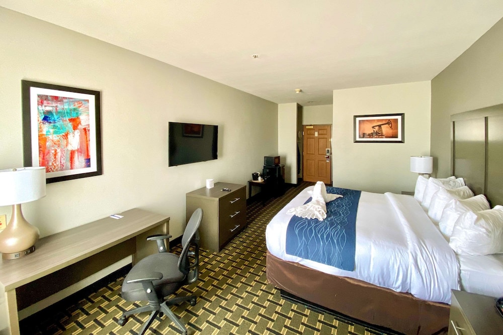 Executive Room, 1 King Bed, Non Smoking - Photo 2