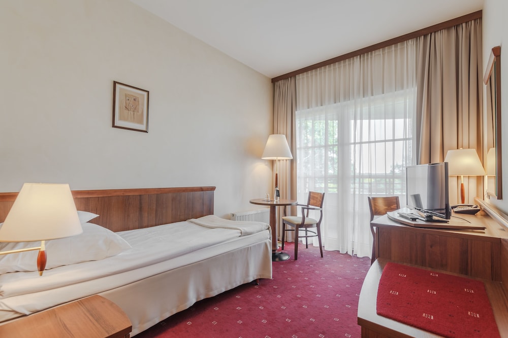 Superior Single Room photo 1