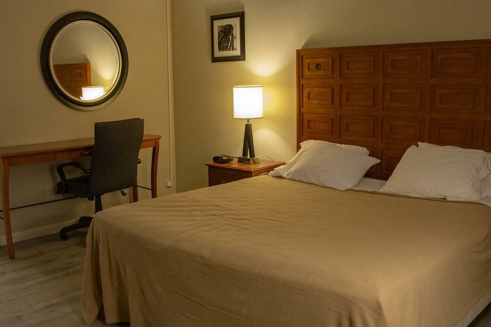 Deluxe Room, 1 King Bed photo 2