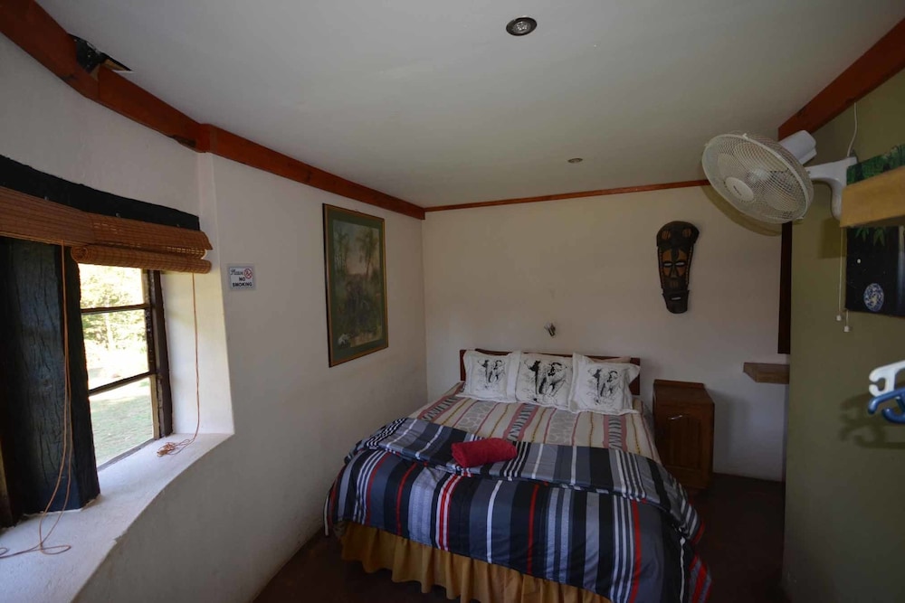 House, Valley View (Owl) photo 1