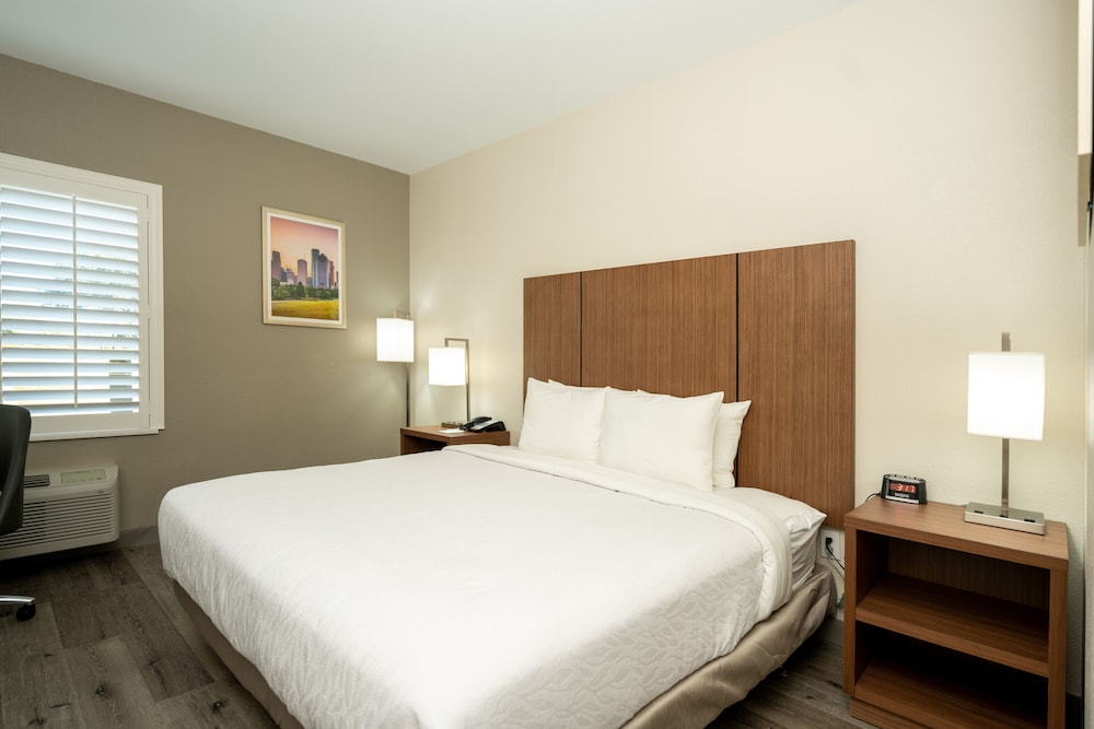 Standard Room, 1 King Bed, Accessible, Refrigerator & Microwave - Photo 1
