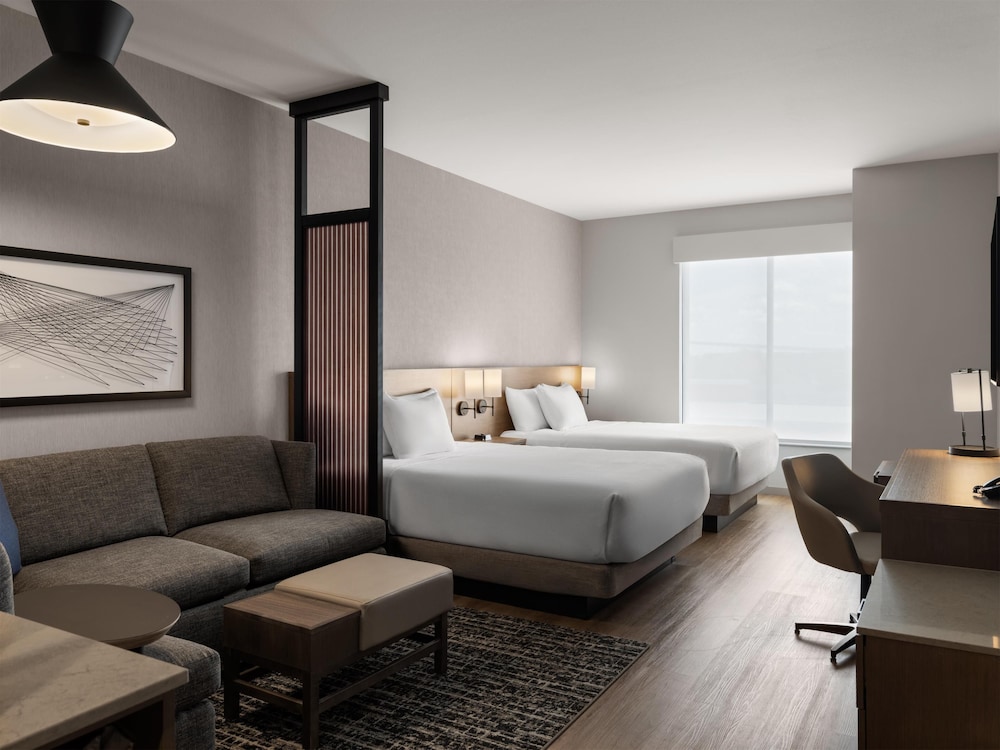 Room, 1 King Bed with Sofa bed