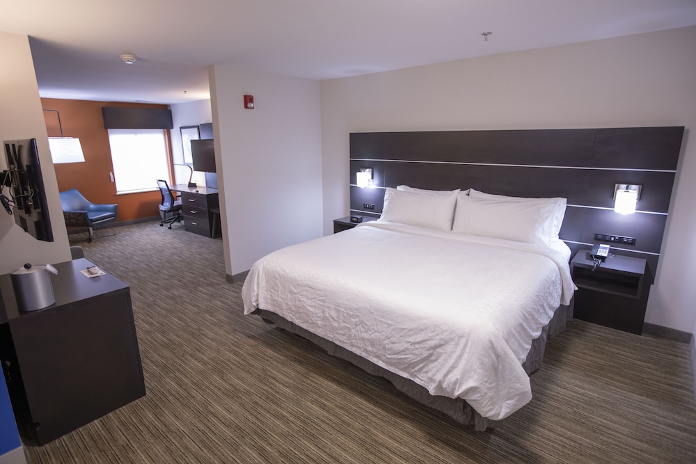Suite, 1 King Bed with Sofa bed, Accessible (Roll-In Shower) - Photo 3