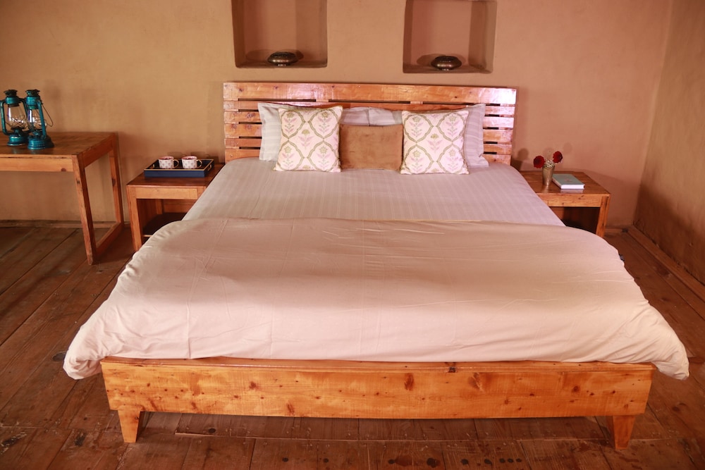 Standard Shared Dormitory photo 1