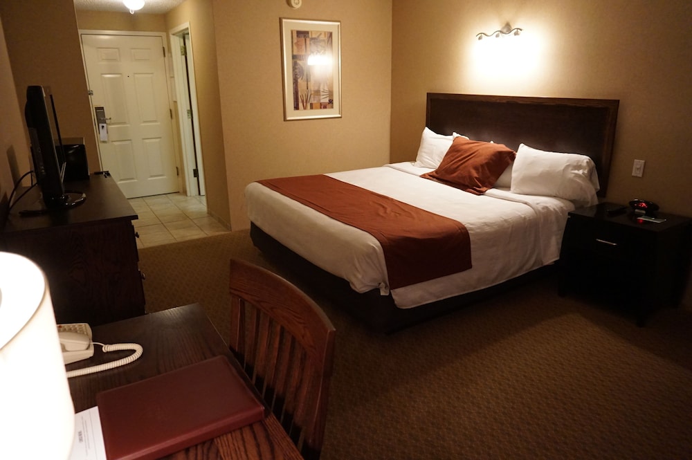 Standard Room, 1 King Bed, Non Smoking photo 2