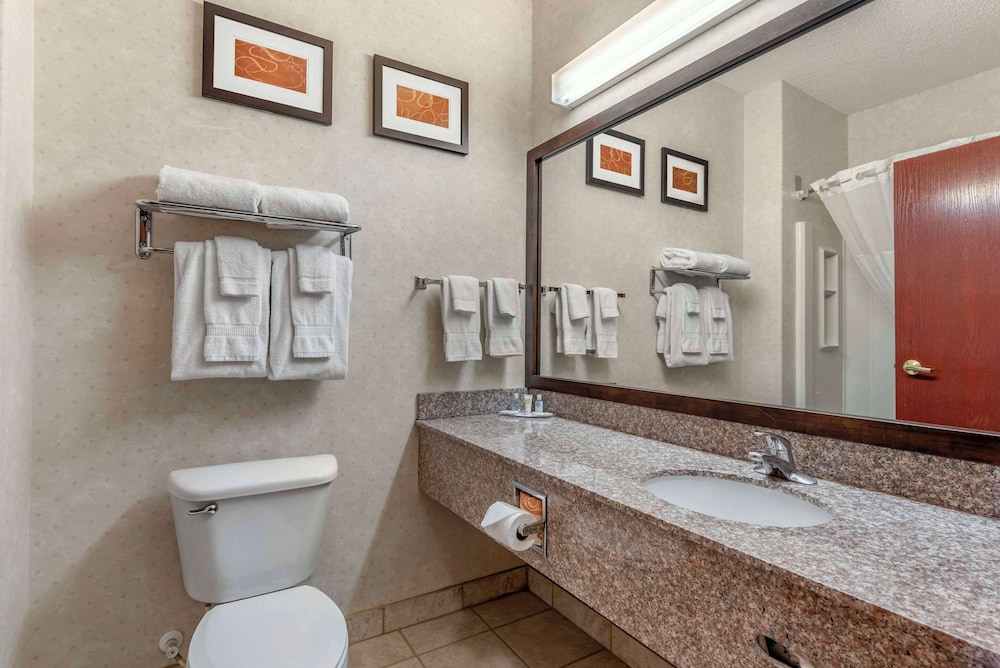 Business Suite, 1 King Bed with Sofa bed, Non Smoking (Pet Friendly) photo 2
