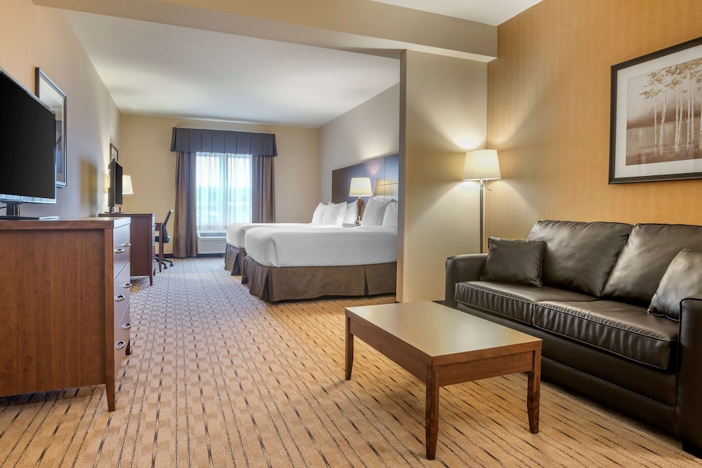 Suite, 1 King Bed, Non Smoking, Refrigerator & Microwave (Larger Room;with Sofabed)