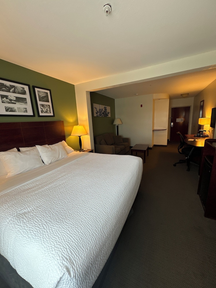 Suite, Non Smoking photo 3