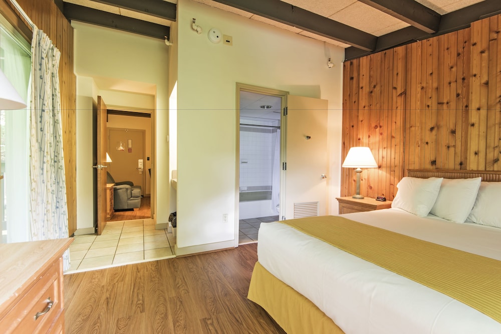 Suite, 1 Queen Bed photo 1