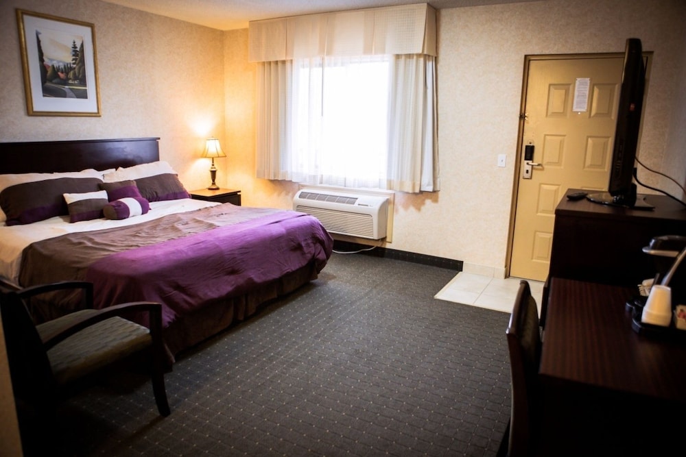 Deluxe Room, 1 Queen Bed photo 3
