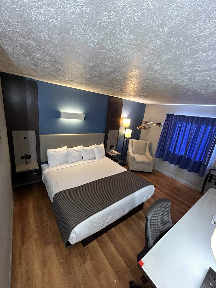 Suite, 1 King Bed, Non Smoking photo 1