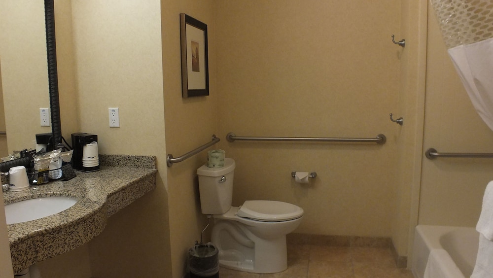 Room, 1 King Bed, Accessible - Photo 5