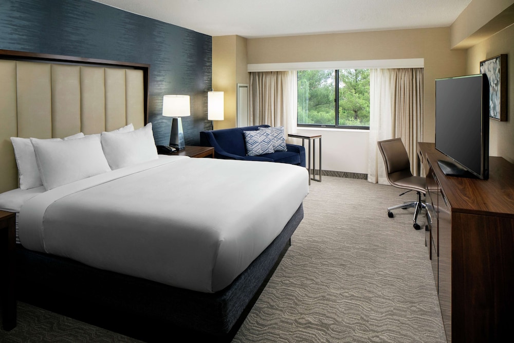 1 King Bed, Hearing/Mobility Accessible Tub - Photo 4